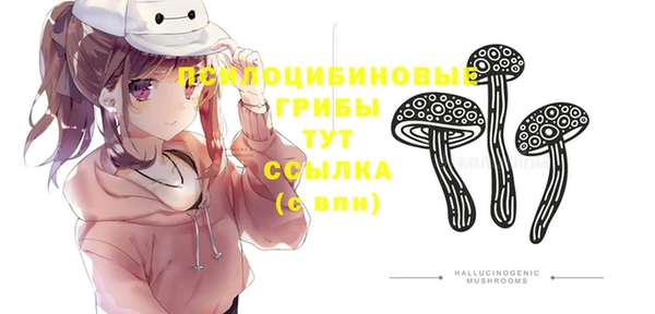 2c-b Верхний Тагил