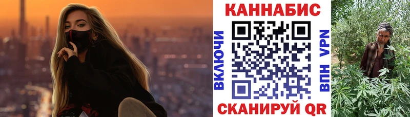 купить   Горбатов  Шишки марихуана VHQ 